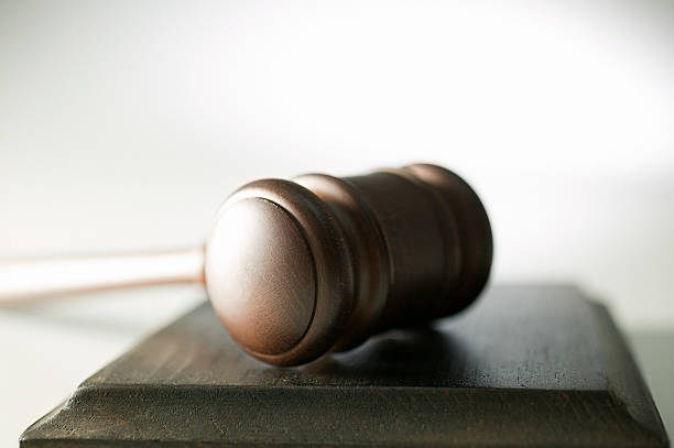 The One-Bite Rule and Strict Liability: How Dog Bite Claims Work